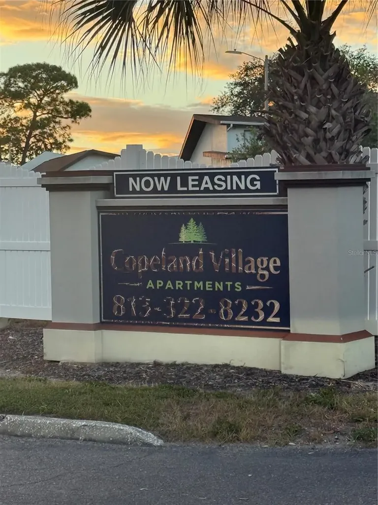 1264 113th Avenue Tampa FL 33612