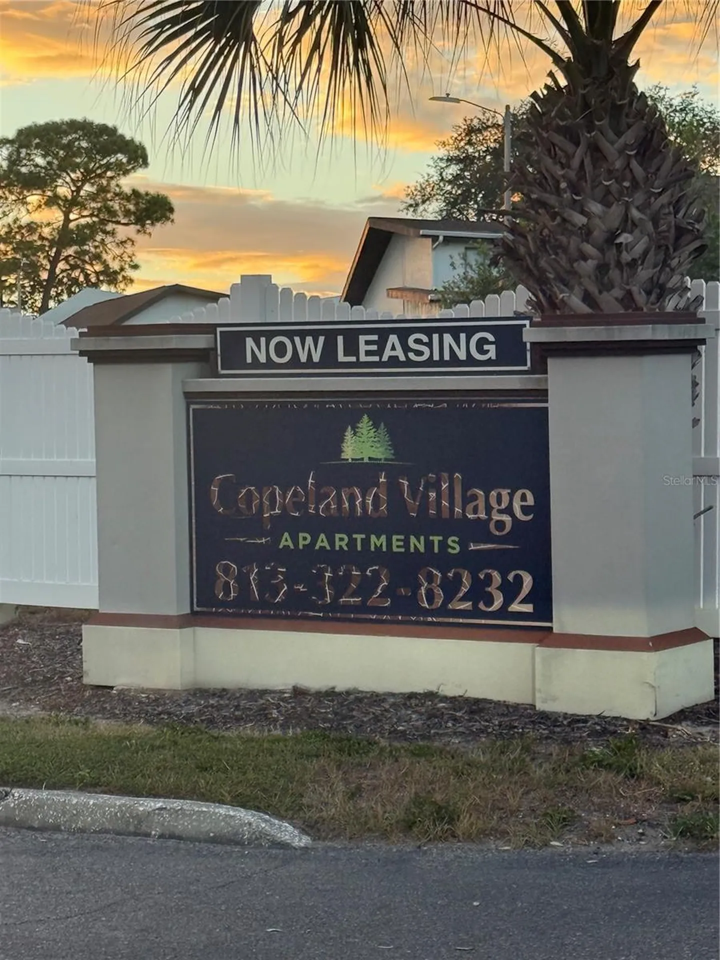 1264 113th Avenue Tampa FL 33612