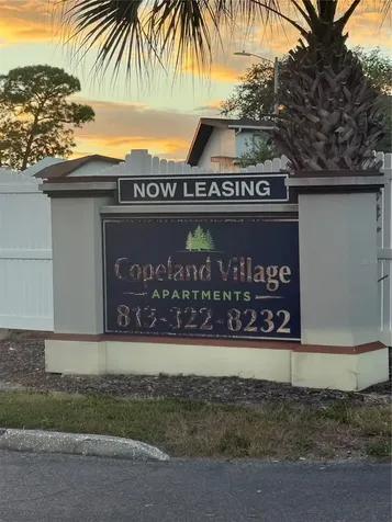 1264 113th Avenue Tampa FL 33612