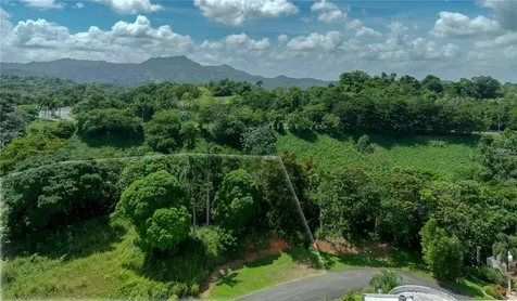 LOT-C42/43 Valle Escondido Guaynabo PR 00971