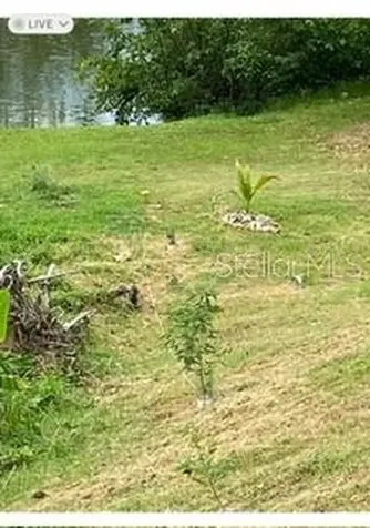 1 Montecarlo Humacao PR 00791