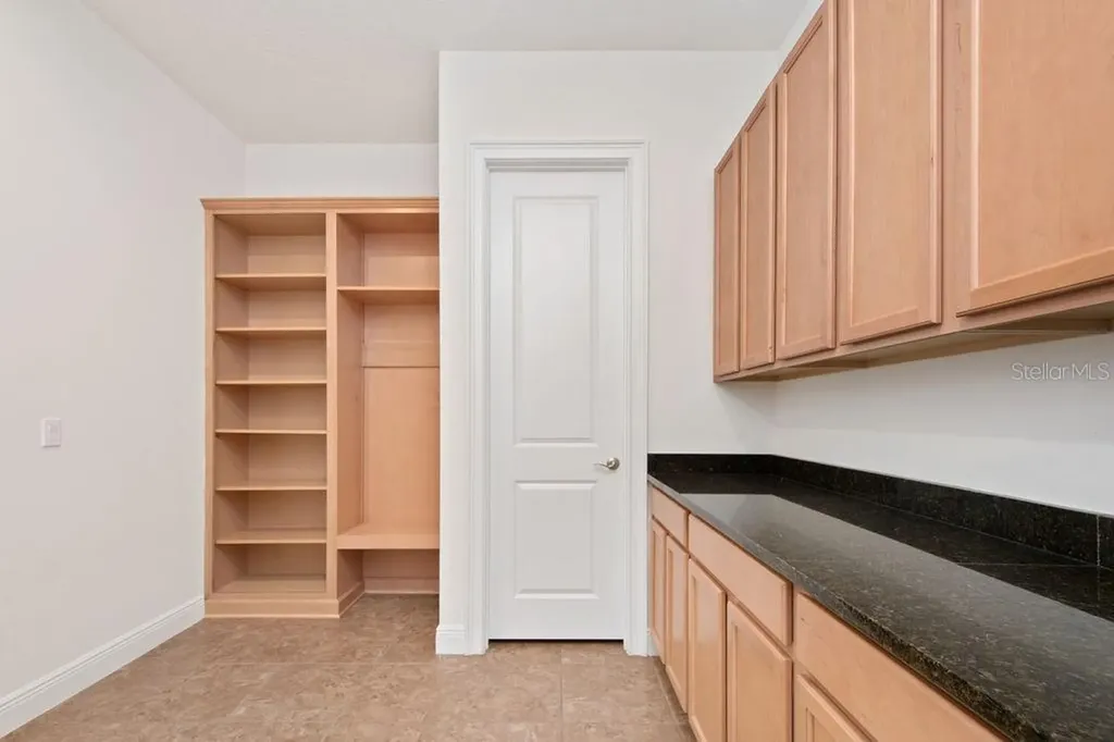 17538 Black Rail Street Windermere FL 34786