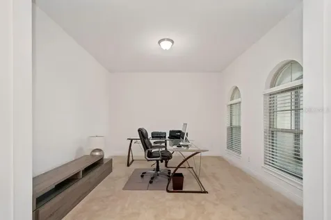 17538 Black Rail Street Windermere FL 34786