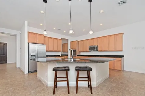 17538 Black Rail Street Windermere FL 34786