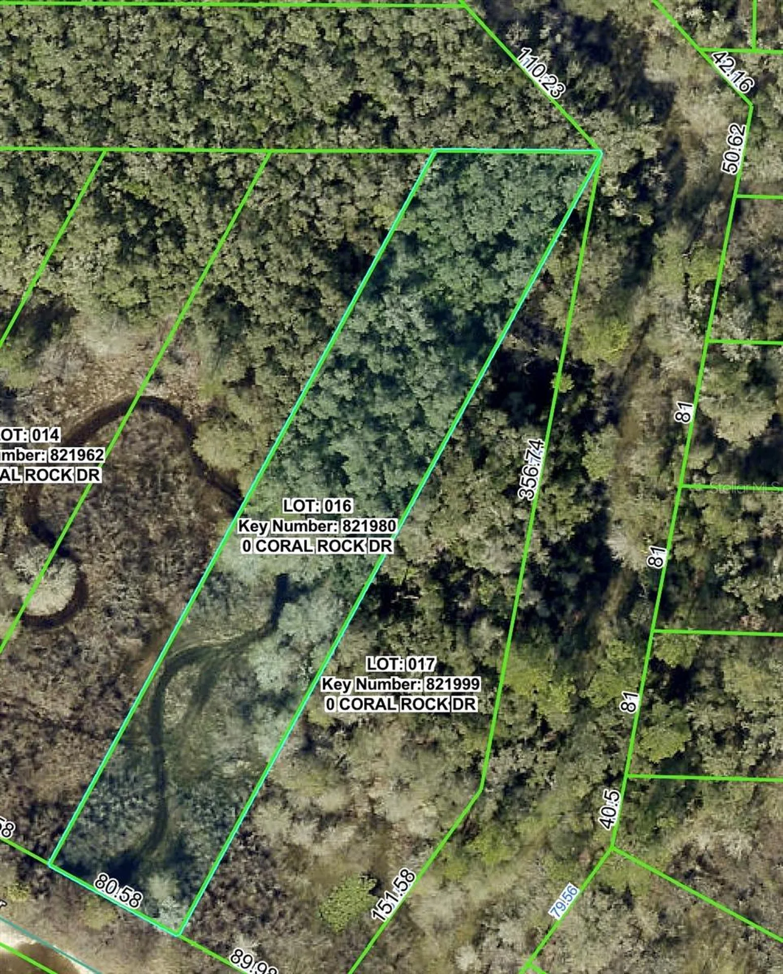 34063 Coral Rock Drive Webster FL 33597