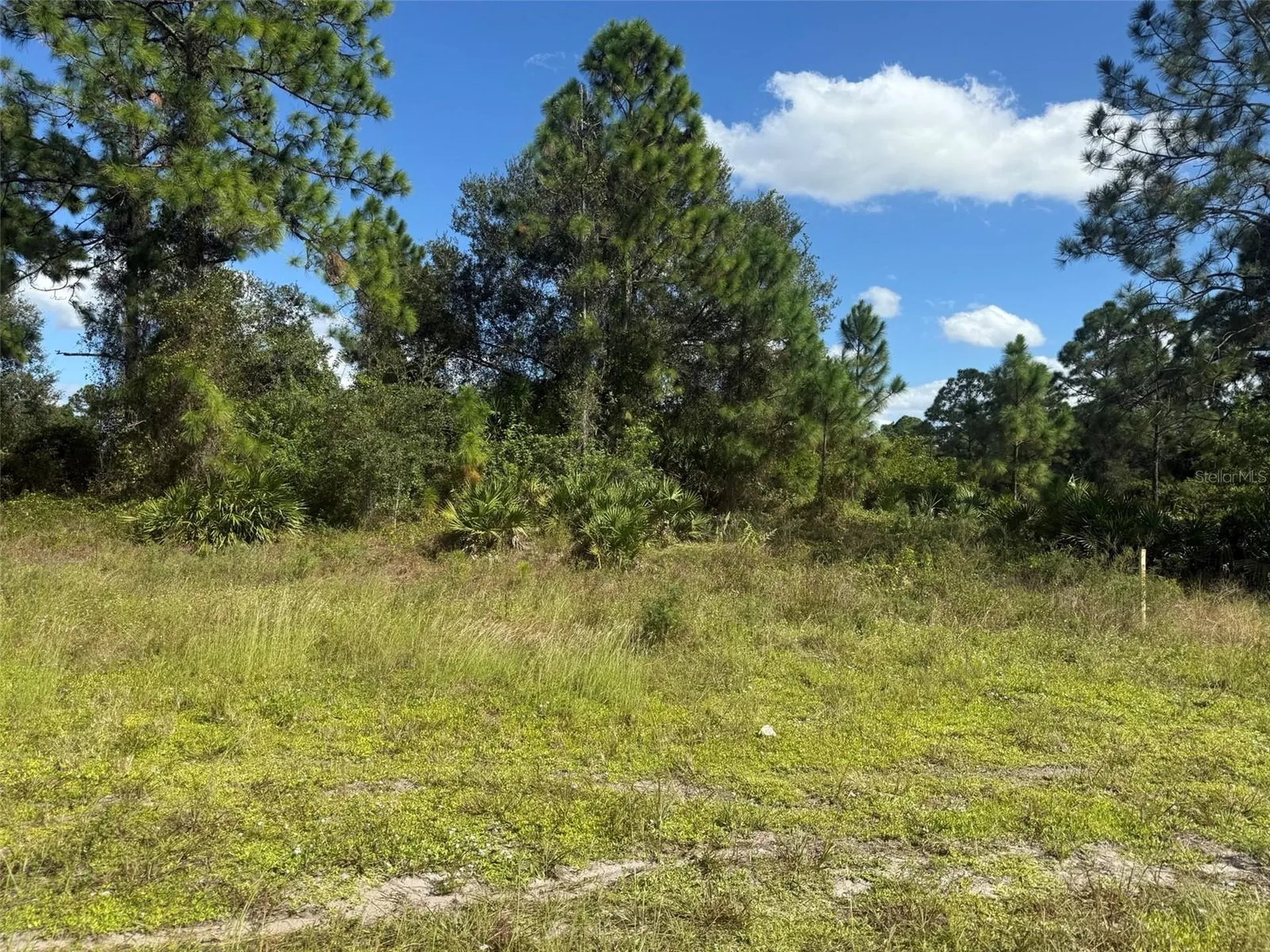 627 Columbus Boulevard S Lehigh Acres FL 33974