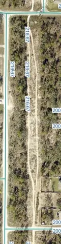 Snowy Plover Avenue Brooksville FL 34614