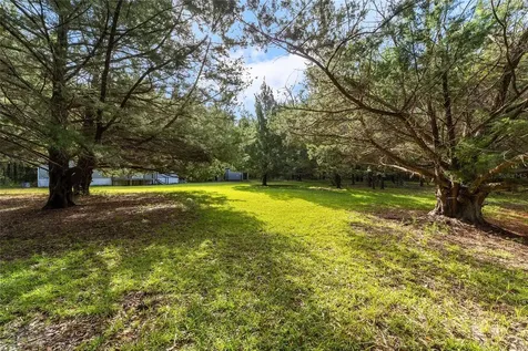 22936 NW 53rd Lane Newberry FL 32669