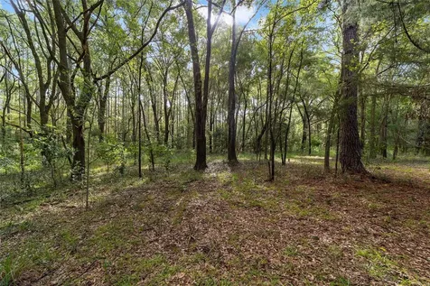 22936 NW 53rd Lane Newberry FL 32669