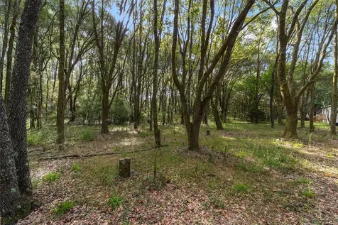 22936 NW 53rd Lane Newberry FL 32669