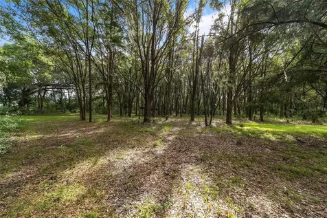 22936 NW 53rd Lane Newberry FL 32669