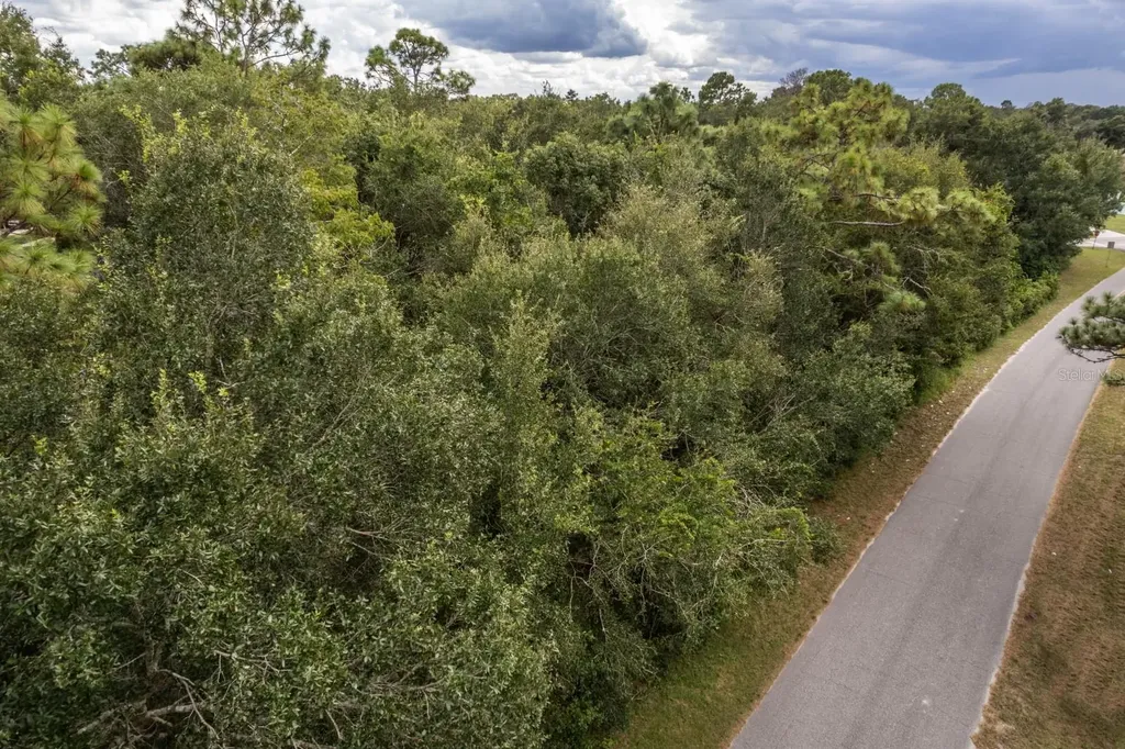Interlachen Drive Mount Plymouth FL 32776