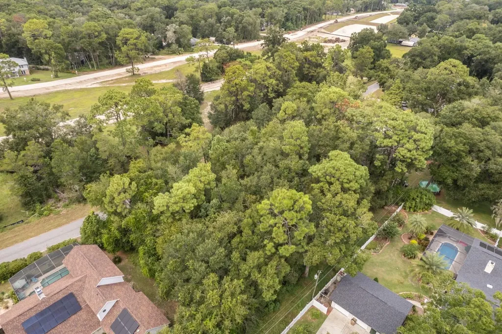 Interlachen Drive Mount Plymouth FL 32776