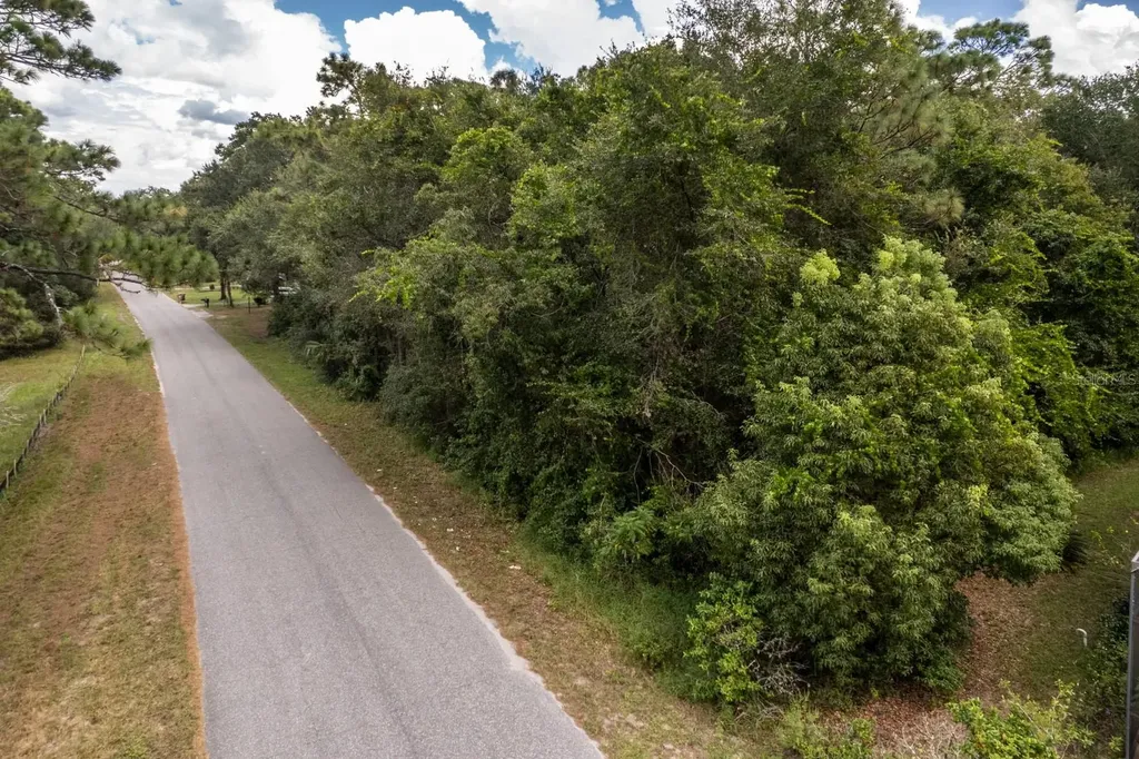 Interlachen Drive Mount Plymouth FL 32776
