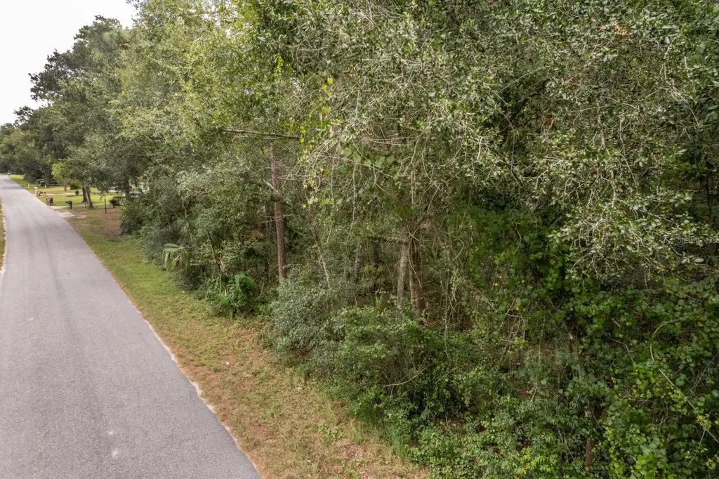 Interlachen Drive Mount Plymouth FL 32776