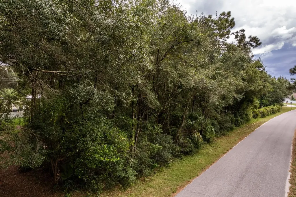 Interlachen Drive Mount Plymouth FL 32776