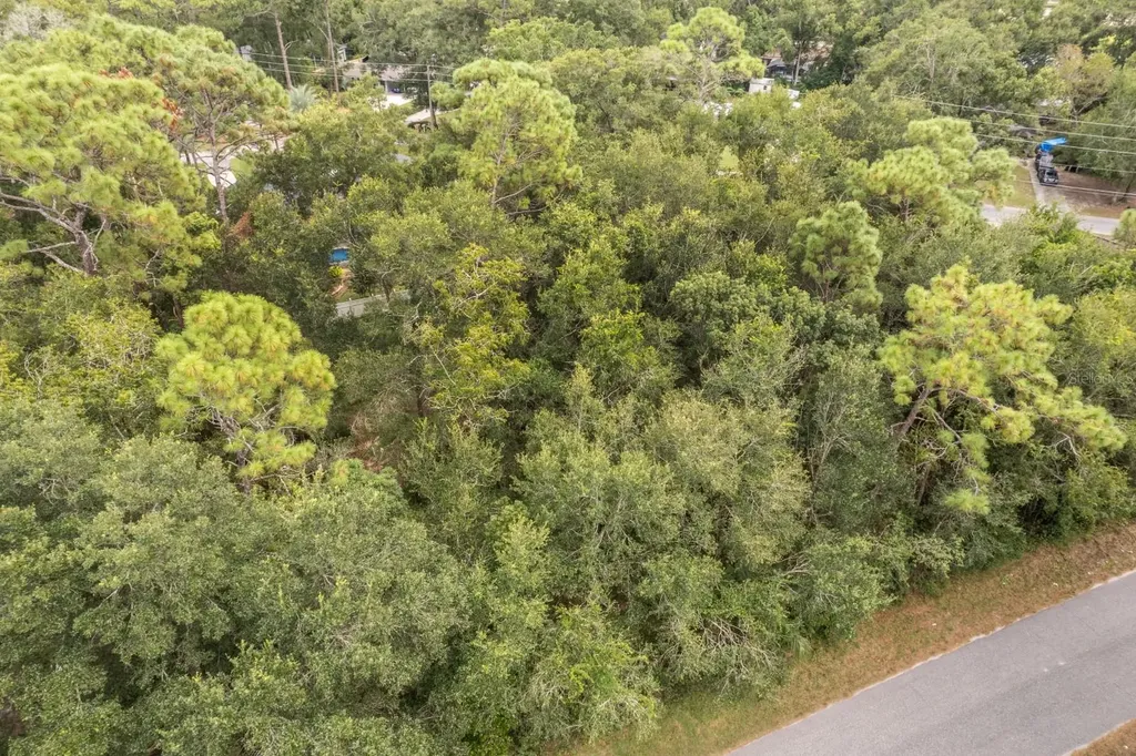 Interlachen Drive Mount Plymouth FL 32776