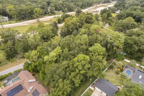 Interlachen Drive Mount Plymouth FL 32776