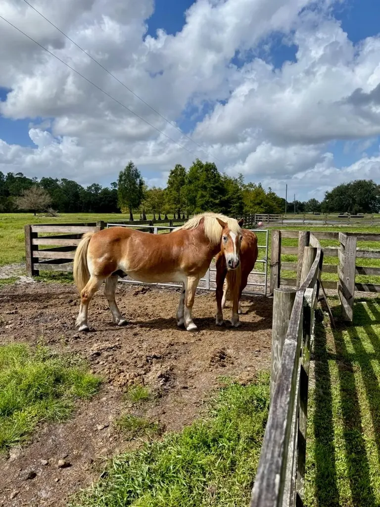 1126 County Road 665 Ona FL 33865