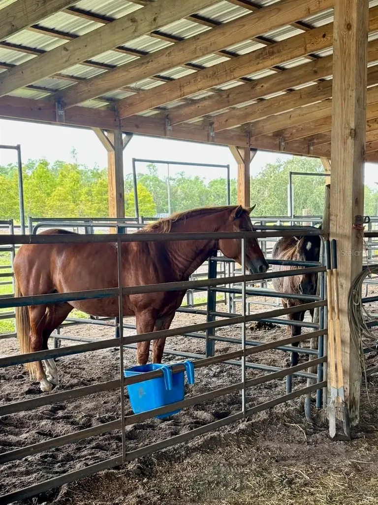 1126 County Road 665 Ona FL 33865