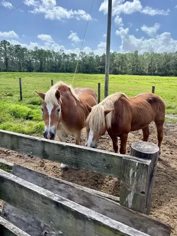 1126 County Road 665 Ona FL 33865