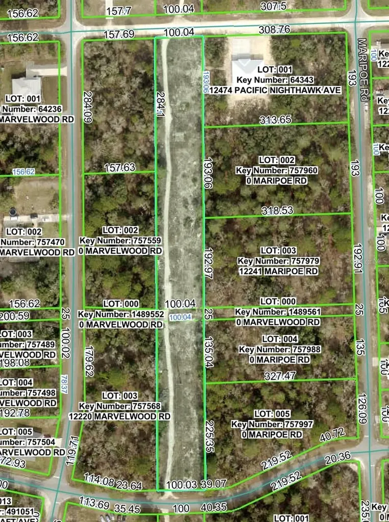 Pacific Nighthawk Avenue Brooksville FL 34614
