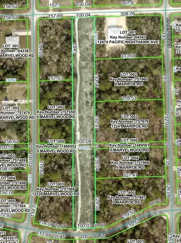 Pacific Nighthawk Avenue Brooksville FL 34614