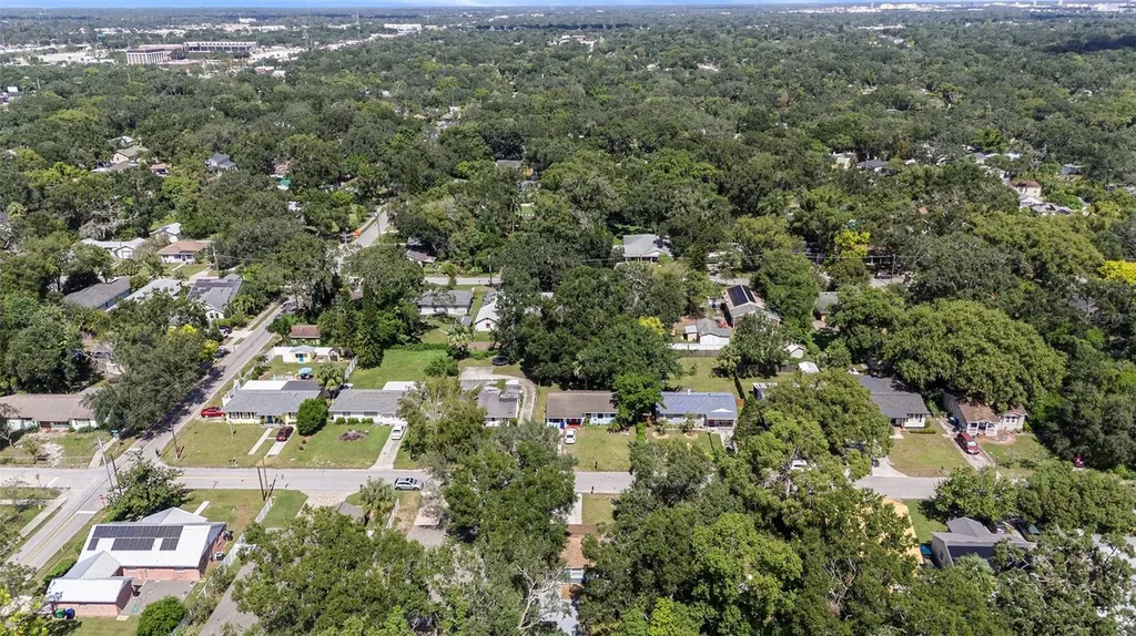 1209 E Flora Street Tampa FL 33604