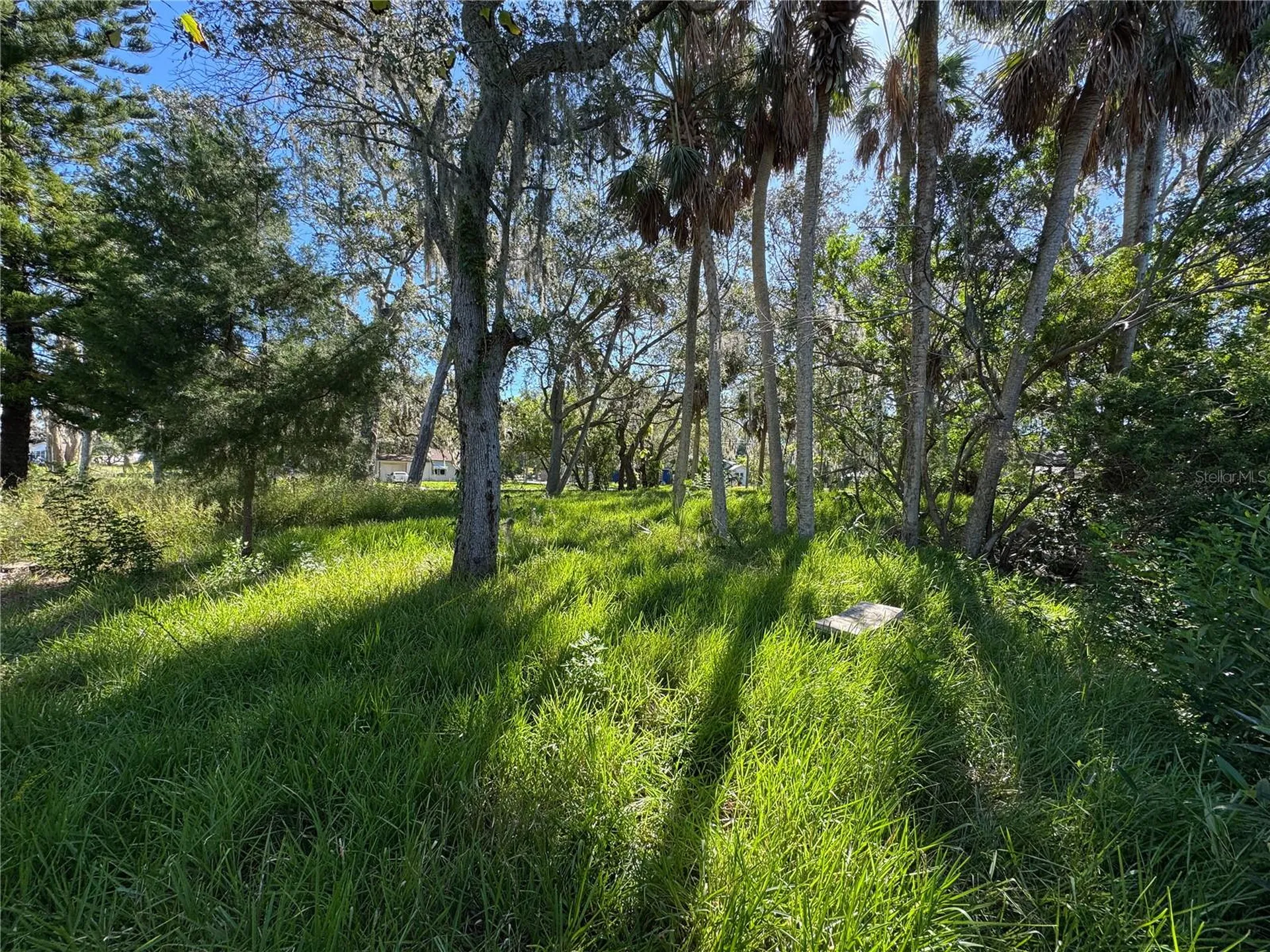 18905 Aripeka Road Hudson FL 34667