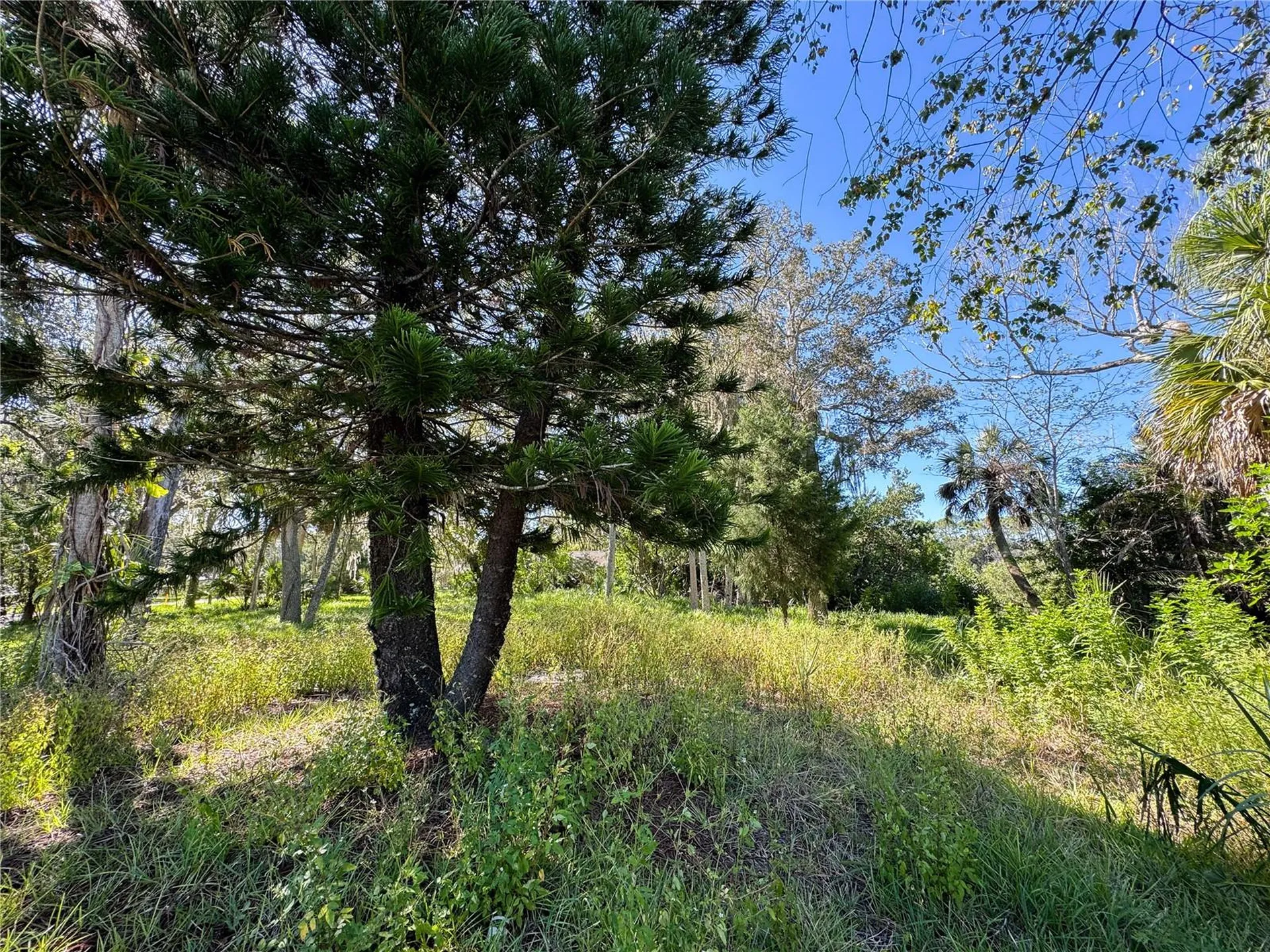 18905 Aripeka Road Hudson FL 34667