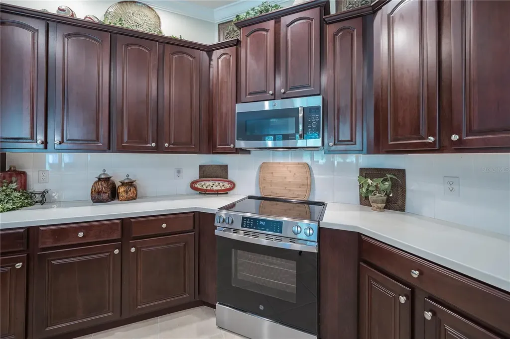 17317 Emerald Chase Drive Tampa FL 33647