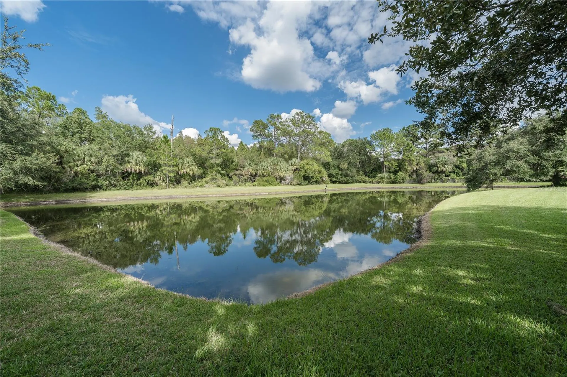 17317 Emerald Chase Drive Tampa FL 33647