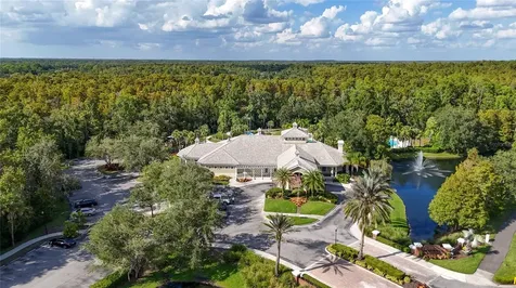 17317 Emerald Chase Drive Tampa FL 33647