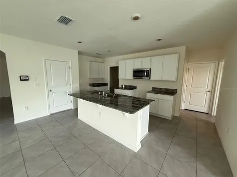 17039 Oval Rum Drive Wimauma FL 33598