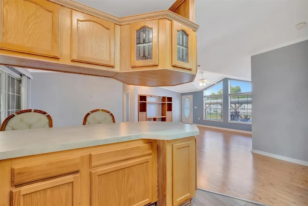 142 S Saint Thomas Circle Apollo Beach FL 33572