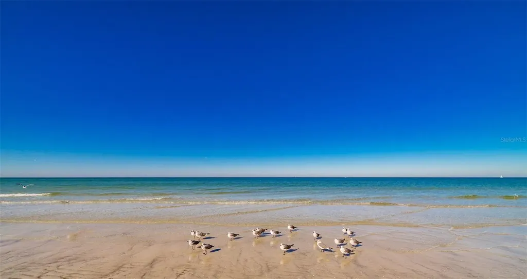 1460 Gulf Boulevard Clearwater Beach FL 33767