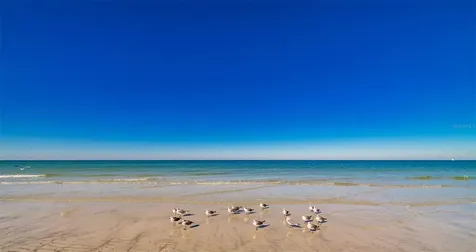 1460 Gulf Boulevard Clearwater Beach FL 33767