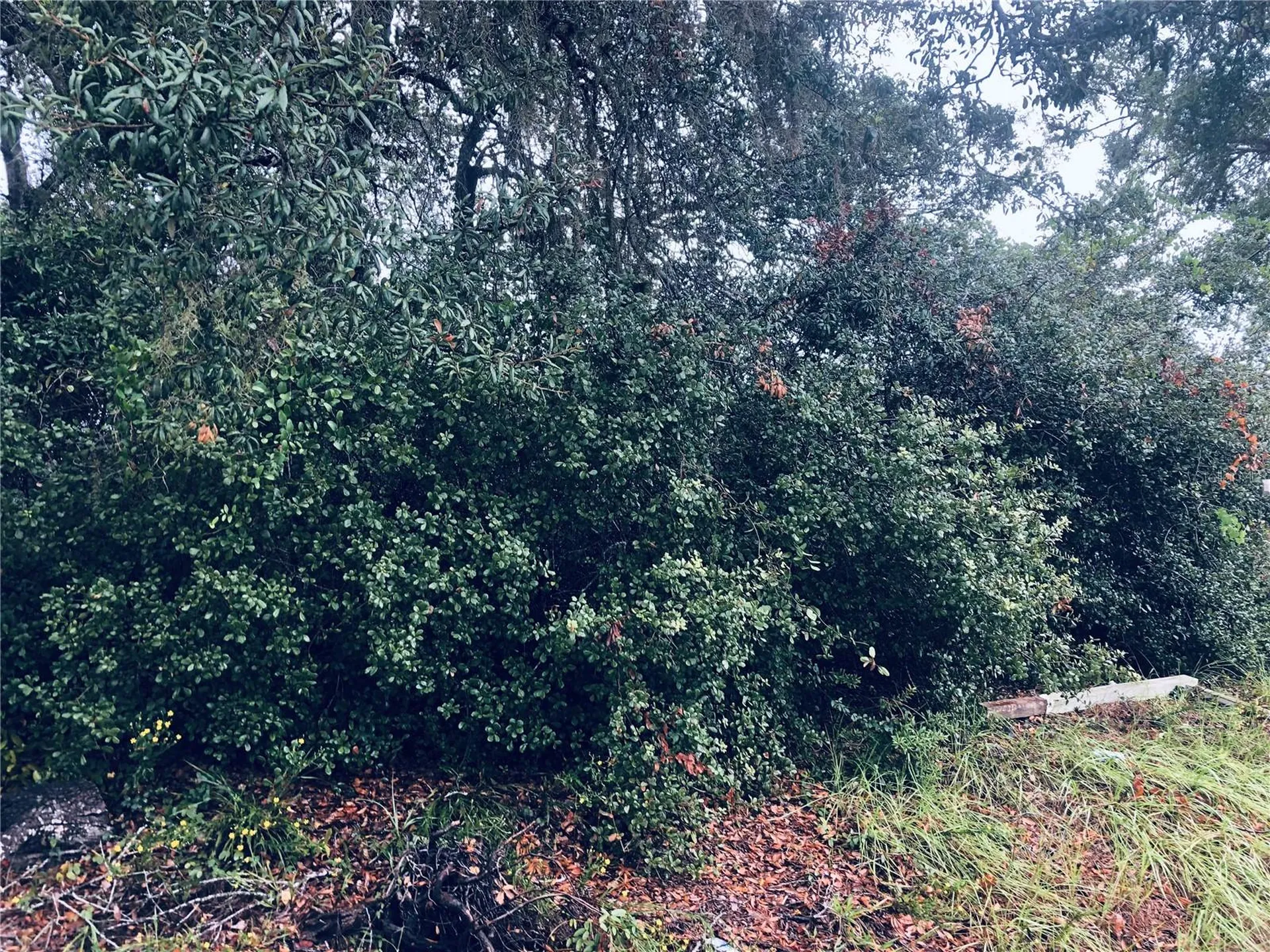 2832 Howland Boulevard Deltona FL 32725