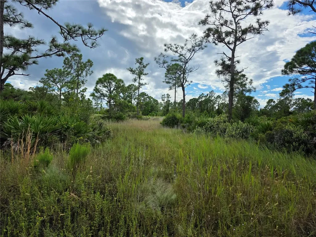 6453 Sweden Boulevard Punta Gorda FL 33982