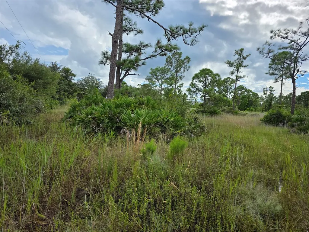 6453 Sweden Boulevard Punta Gorda FL 33982