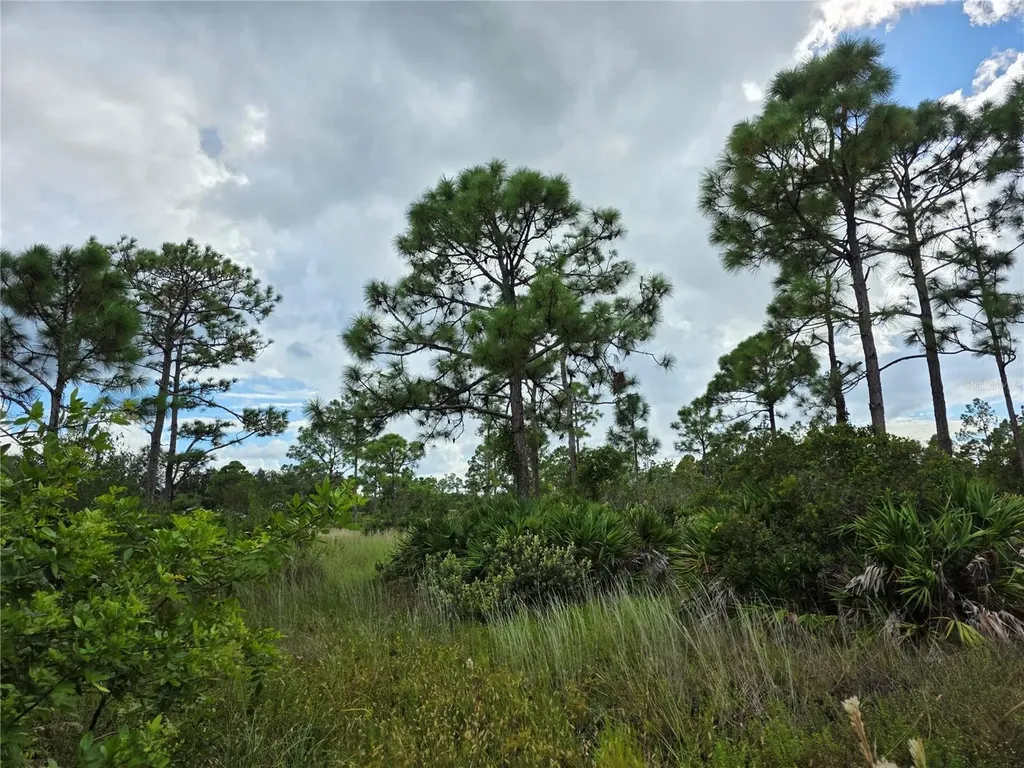 6453 Sweden Boulevard Punta Gorda FL 33982