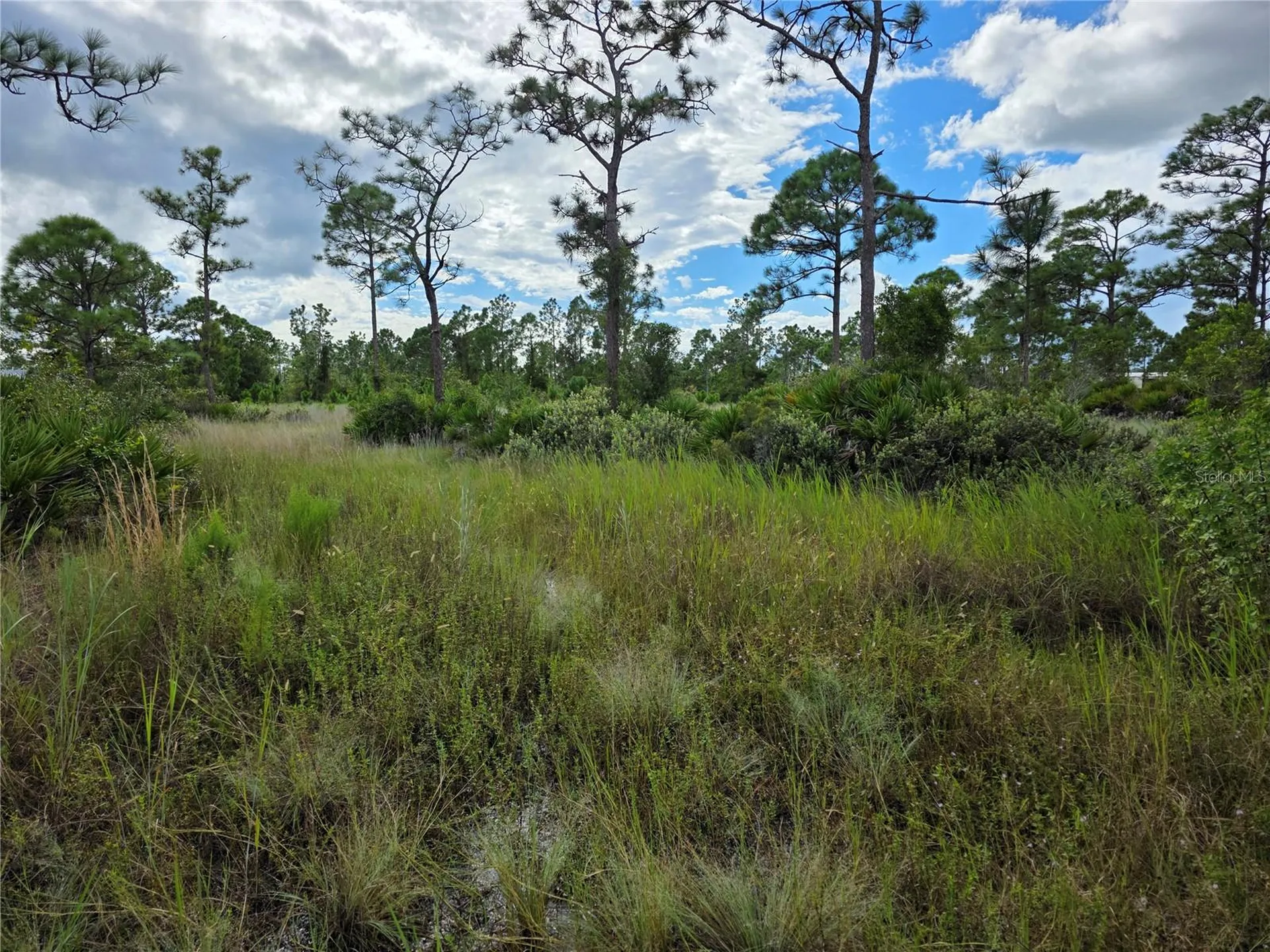 6453 Sweden Boulevard Punta Gorda FL 33982