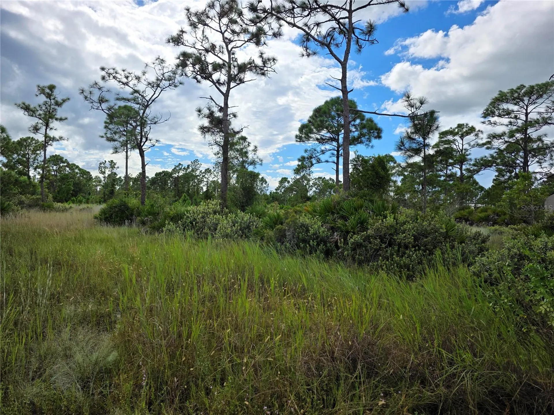 6453 Sweden Boulevard Punta Gorda FL 33982