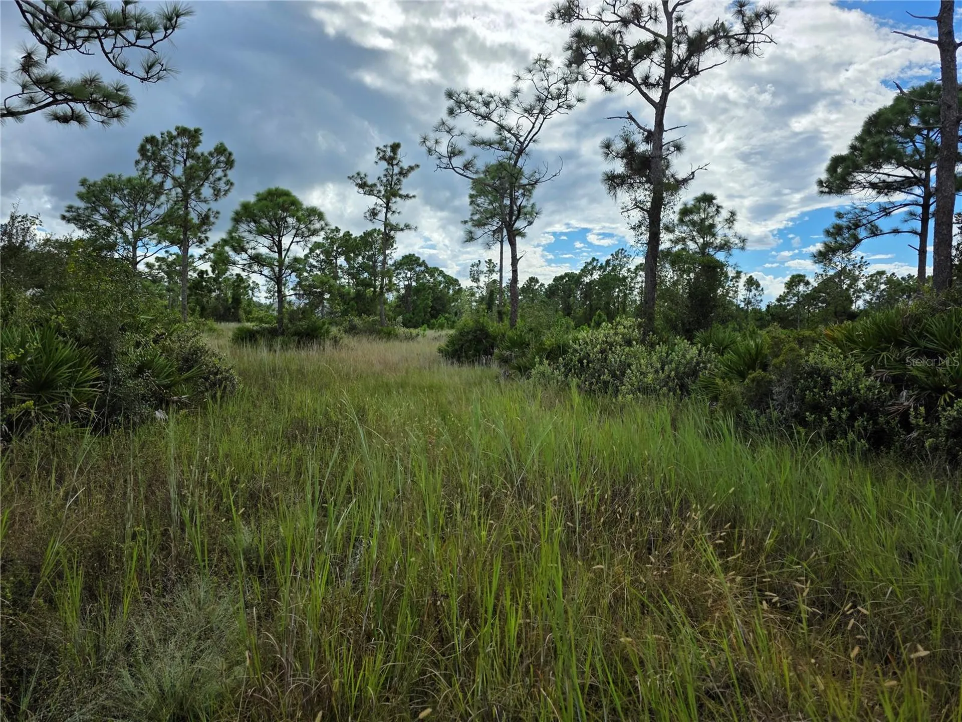 6453 Sweden Boulevard Punta Gorda FL 33982