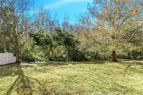 16368 Tudor Grove Drive Orlando FL 32828