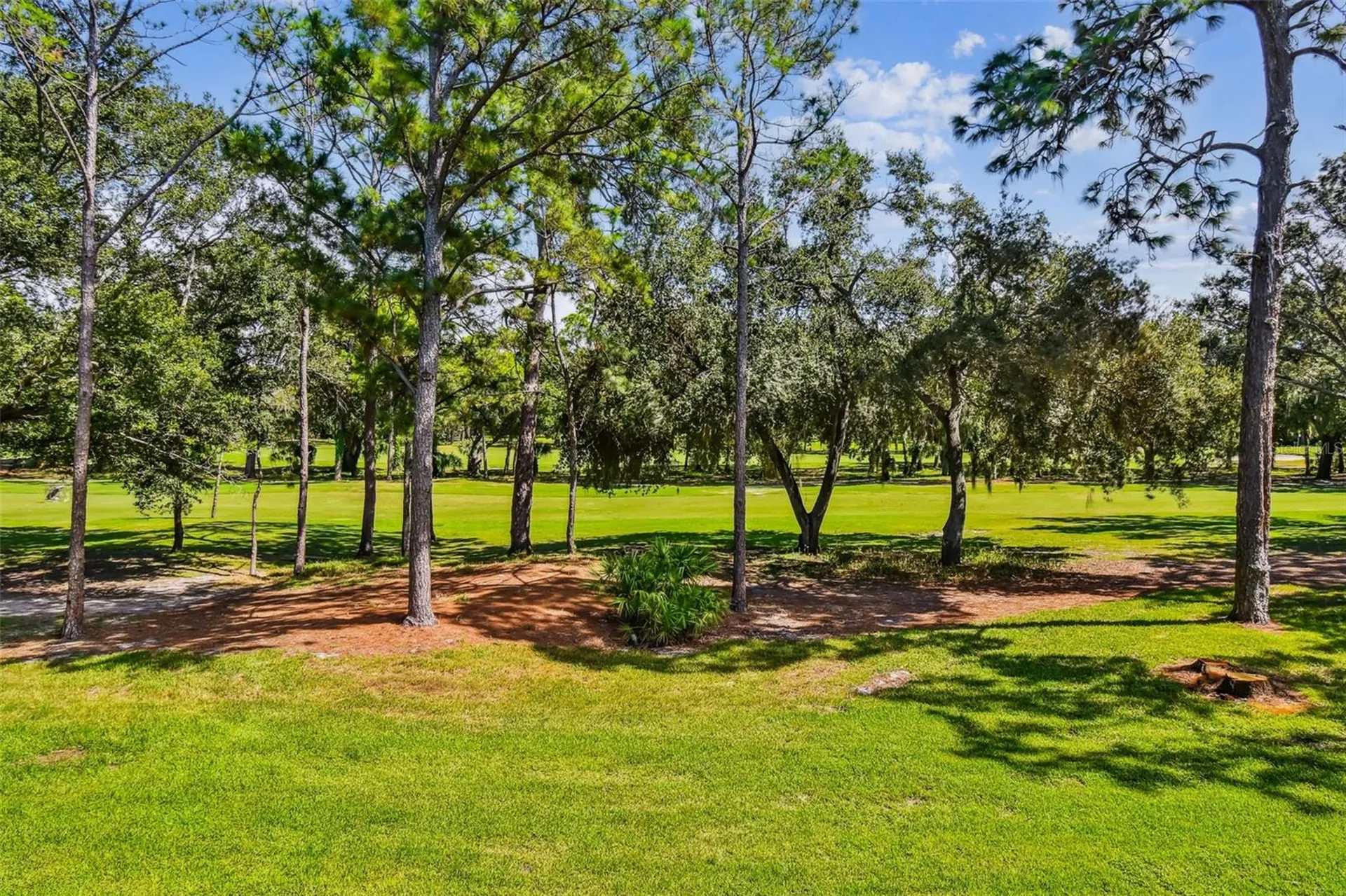36750 Us Highway 19 N Palm Harbor FL 34684