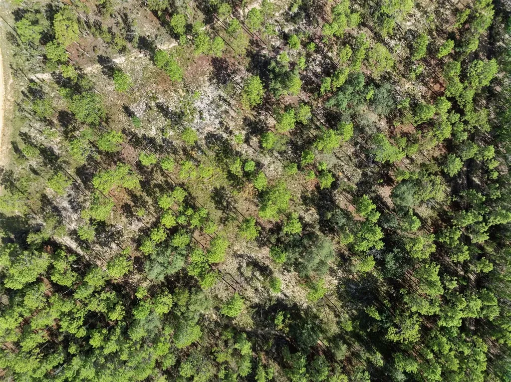 240 Cessna Way Hawthorne FL 32640