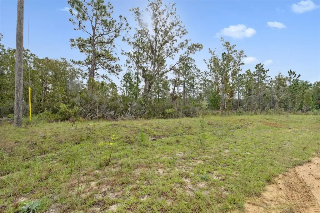 240 Cessna Way Hawthorne FL 32640