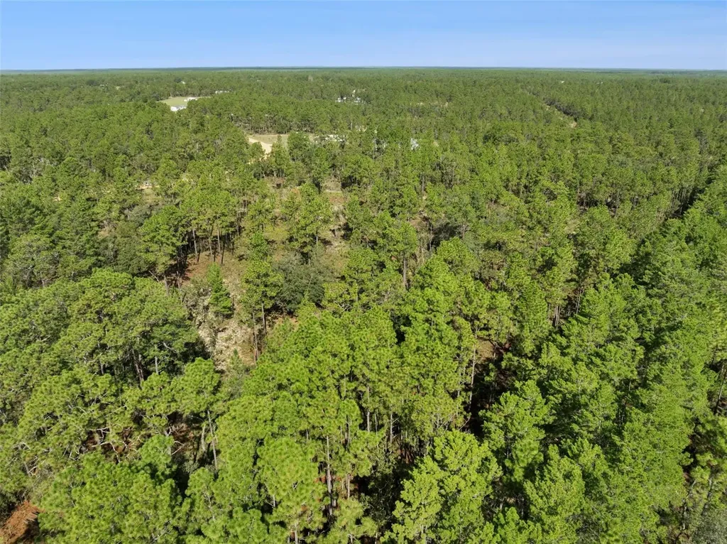 240 Cessna Way Hawthorne FL 32640
