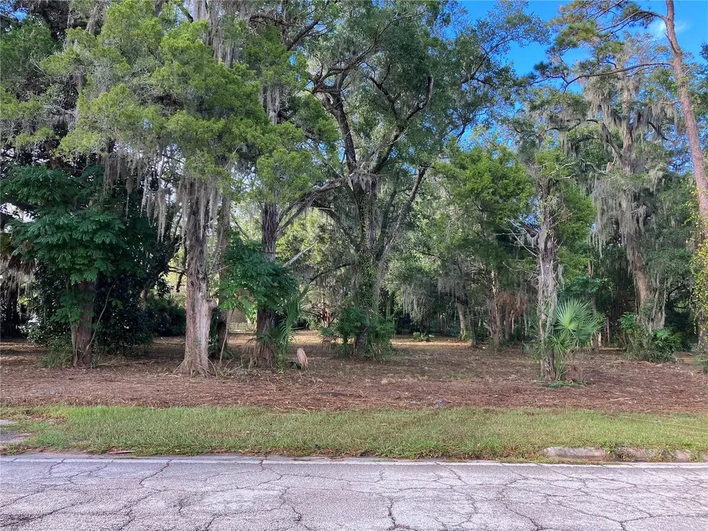 2917 NE 3rd Street Ocala FL 34470